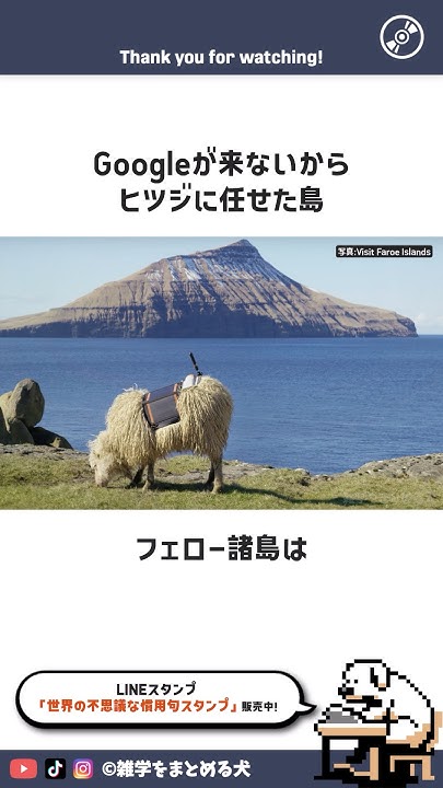 Googleが来ないからヒツジに任せよう